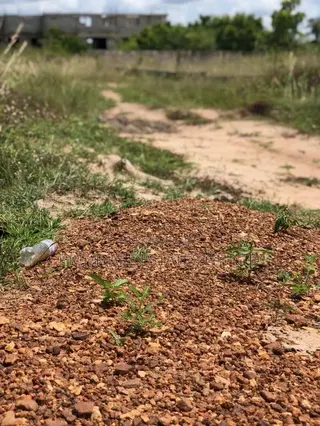 Serene Environment Estate Lands on Sale Afienya