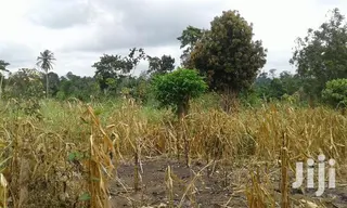 Farmlands,Residential Lands and Cocoa Farmlands