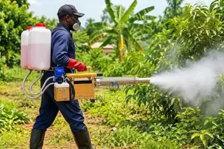High-Efficiency Thermal Fogging Machine – Crops and Public Health