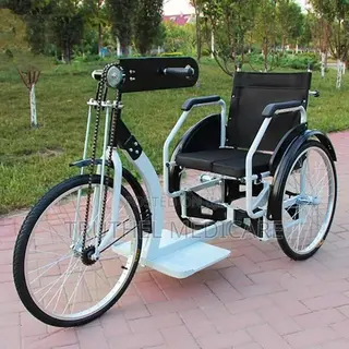 Tricycle Wheelchair