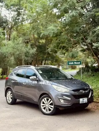 Hyundai Ix35 2013 Gray