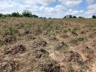 1 Plot of Land for Sale(Buduatta)