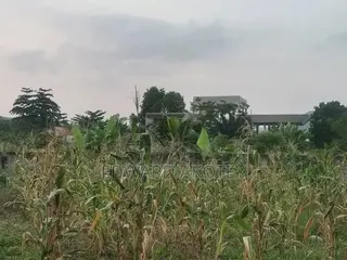 Over Ten(10) Building Plots for Sale at Green Valley