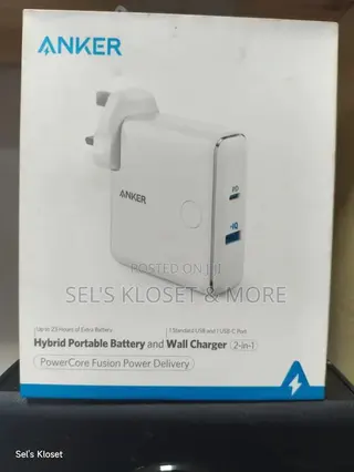 2-in-1 Hybrid Portable Battery Wall Charger