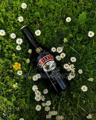 Baileys Enjoy