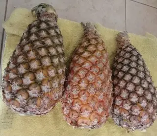 Pineapple Friut