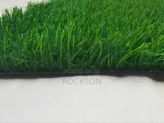 Artificial Grass for Rent and Sale