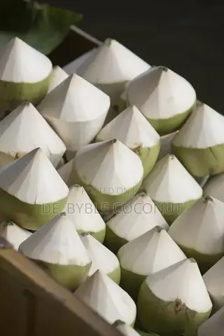 Fresh Coconut Delivery Service