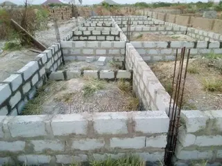 Professional Mason