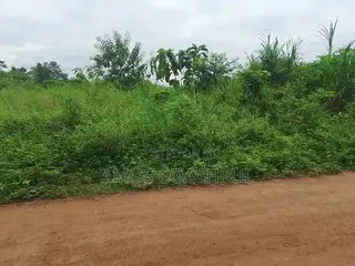 Roadside Plot at SYN YH Temakwataa