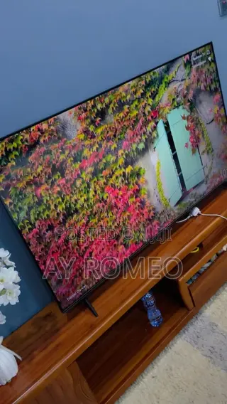 55 Inch TCL Smart TV