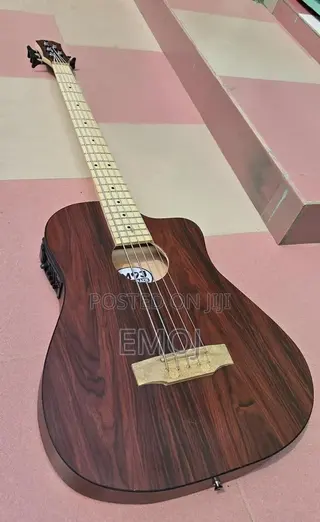 Emoj Semi Acoustic Bass Guitar