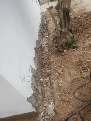 Plaster Removal