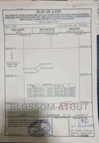 Land Surveyor
