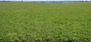 Plot for Sale at Bolga. Kalbeo Tindonsobligo