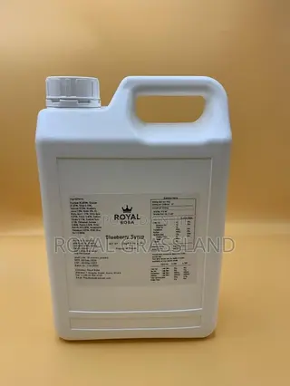 Premium Blueberry Flavour Syrup | 2.5KG