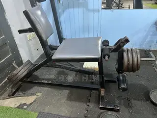 Leg Extension