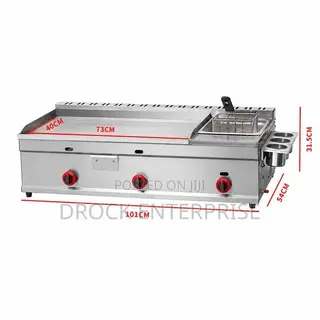 Gas Grille With Deep Fryer