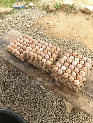 KTM Organic Farm Eggs