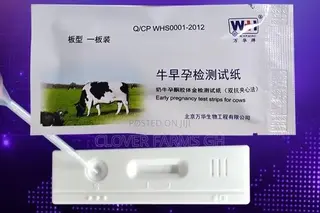 Cattle Pregnancy Test Kit