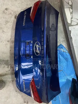 Hyundai Elantra Home Use Boot and Doors