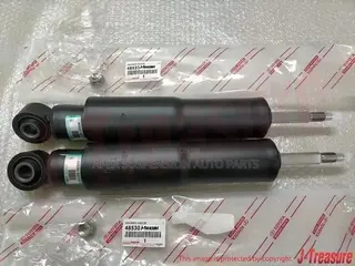 Lexus LX570 Back Shocks