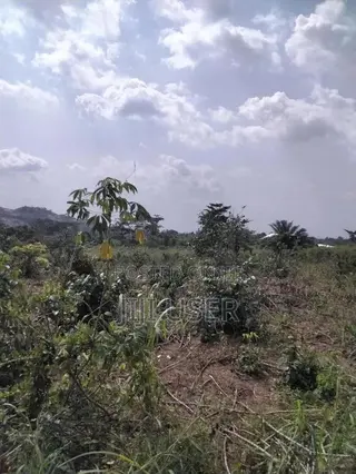 Acres of Farmland at Barekese for Sale