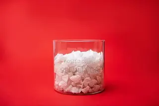 White Stones