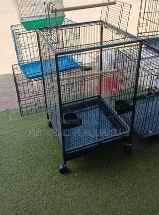 Metallic Bird Cage