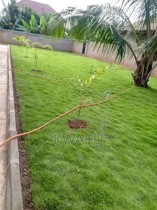 Landscape,Flowers and Green Grass for Sale, Garden Development.