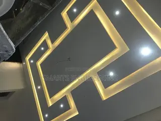 Professional Electrician