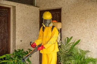 Fumigation Masters