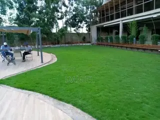 Lawn Maintenance