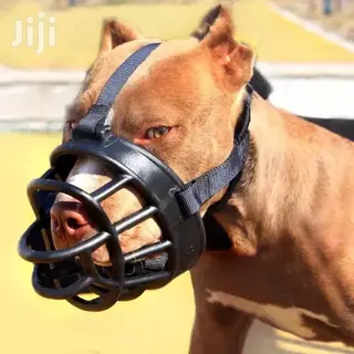 Dog Muzzle Mouth Guard