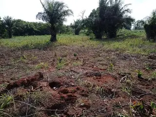 Land for Residence