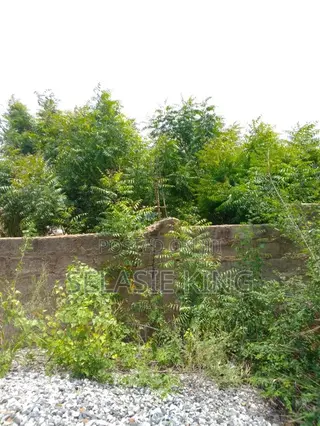 Plots of Land for Sale at Bawaleshie