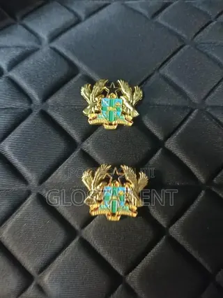 Coat of Arms/Lapel Pin