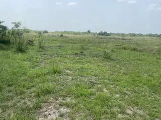 Titled Land Located at Ayikuma