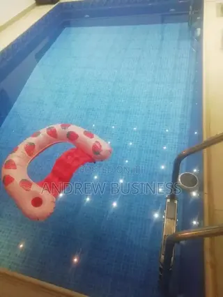 Swimming Pool Cleaning
