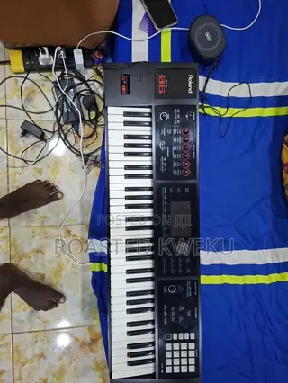 Roland Fa 06