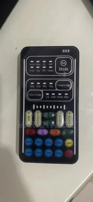 Voice Changer Device