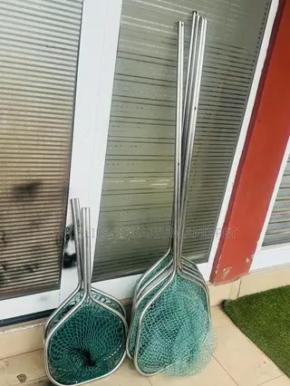 Large Spacious Long Pond Net (1.7 M)