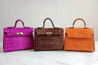 Stylish Mini Kelly Handbag
