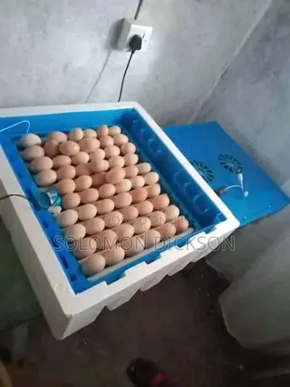 Automatic Egg Incubator