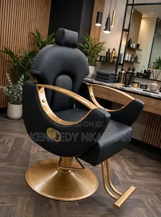 Barber/Salon Chair