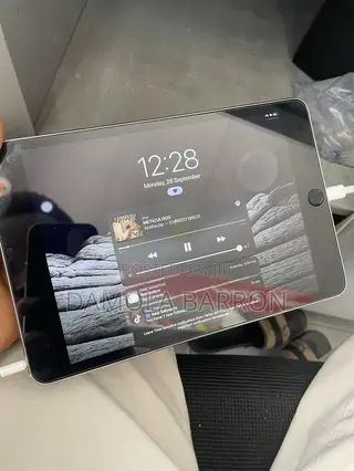 Apple iPad mini 4 16 GB Gray