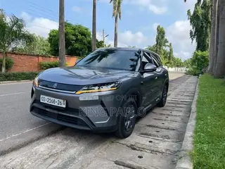 Electric Car for Rentals