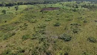 51 Acres of Farmland for Sale – Dromankuma, Bono East