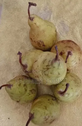 Apple Pear