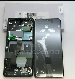 Original Samsung S21 Ultra Oled Screen